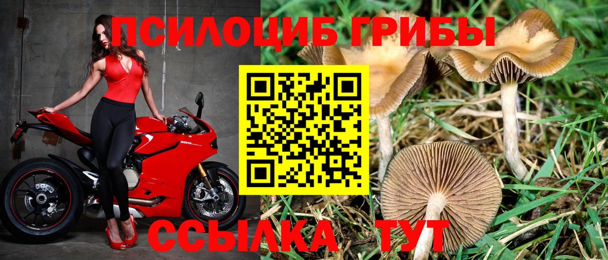 Галлюциногенные грибы GOLDEN TEACHER Сызрань