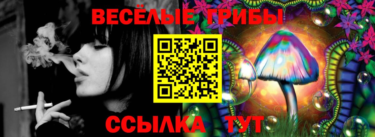 Сызрань  Псилоцибиновые грибы Cubensis  Псилоцибиновые грибы Cubensis  Вход с VPN 